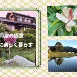 同居の失敗から25年ぶりの同居！極意が分かったかも