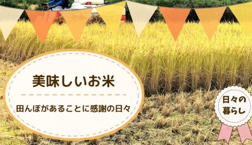 美味しいお米を目指して赤字の副業農業